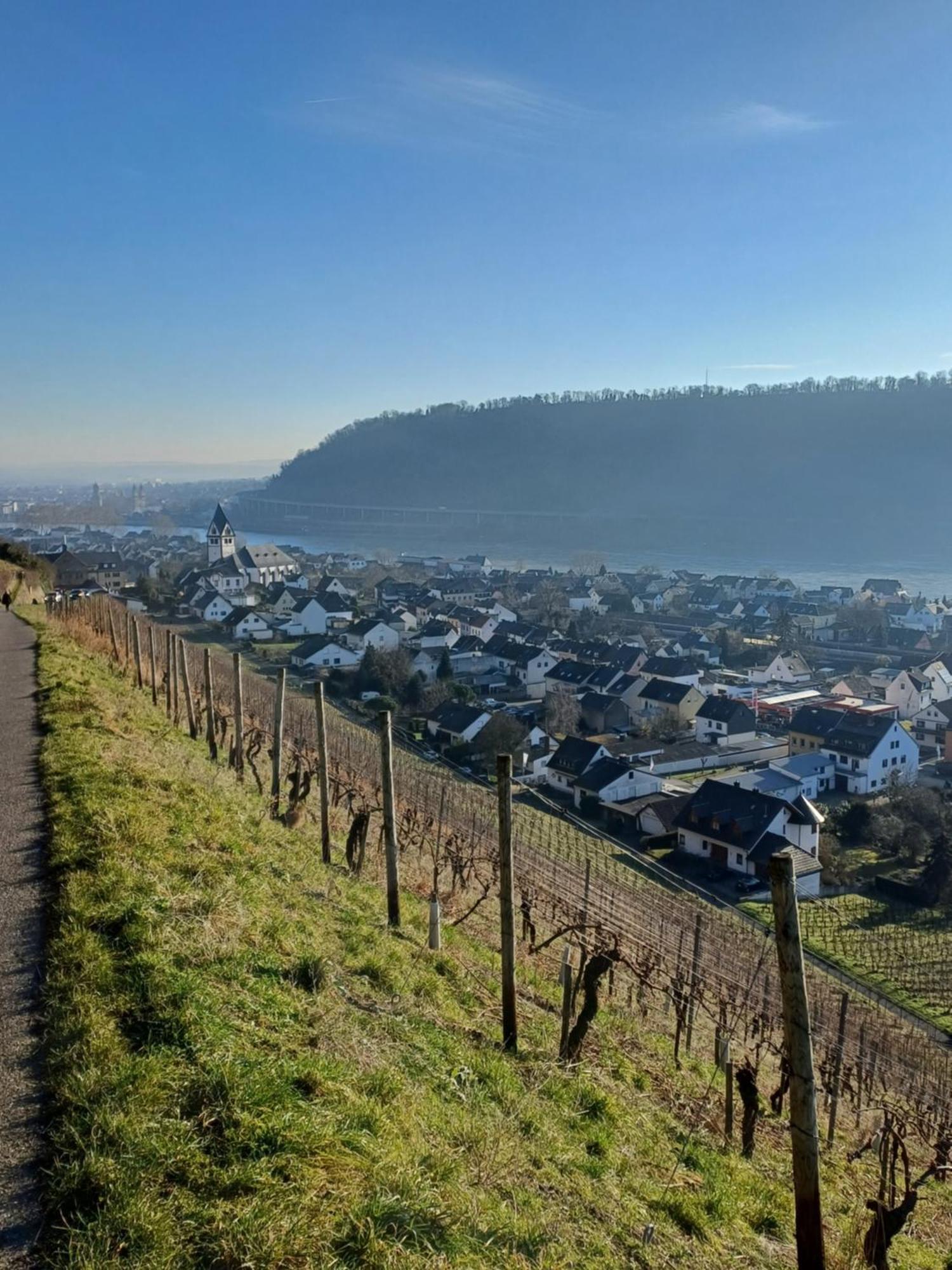 Casa Didi Apartment Leutesdorf Bagian luar foto
